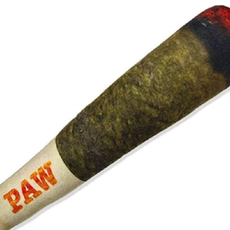 Juguete interactivo de cigarro para perros