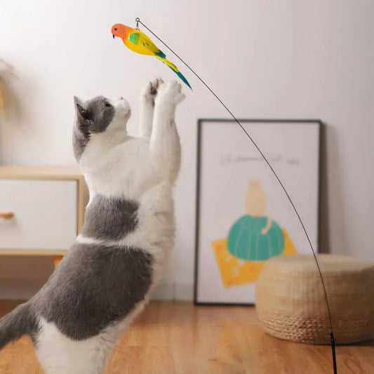 Juguete interactivo de pavo real para gatos