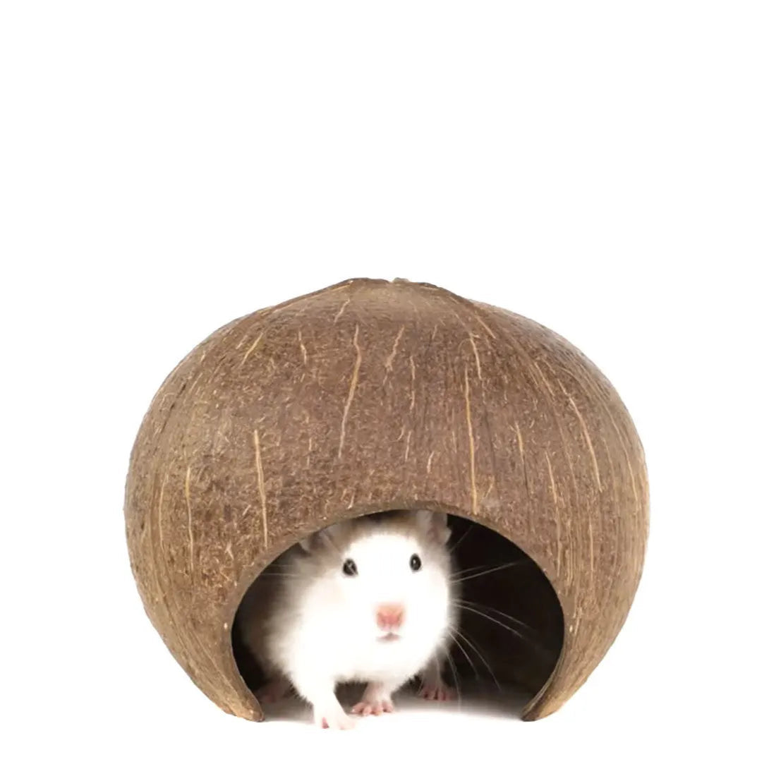 Natural Coconut Shell Hamster Hideout