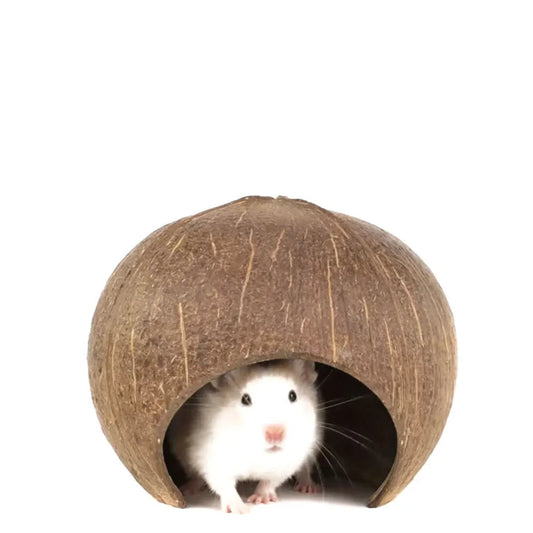 Natural Coconut Shell Hamster Hideout