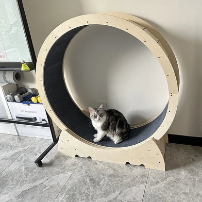 Large Cat Treadmill