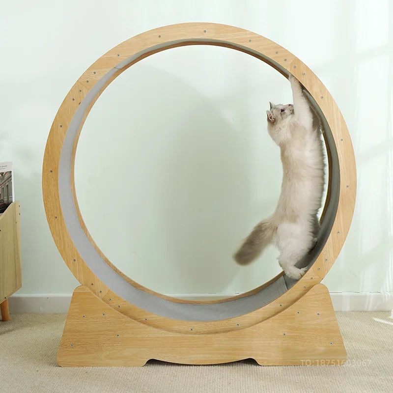 Large Cat Treadmill