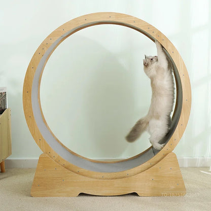 Large Cat Treadmill
