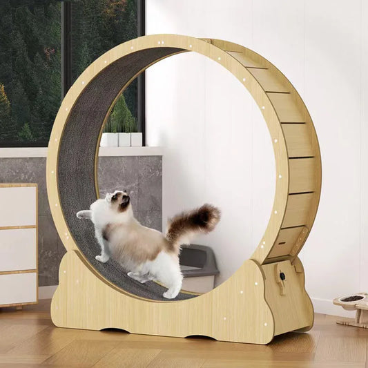 Large Cat Treadmill