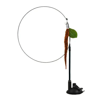 Juguete interactivo de pavo real para gatos